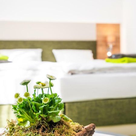 Hotel-Pension Treppengasse Nr 6 التنبورغ المظهر الخارجي الصورة